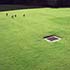 places